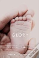 Shining Glory