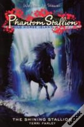 Capa do artigo Shining Stallion
