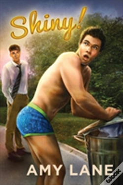 Capa do artigo Shiny!