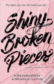 Capa do artigo Shiny Broken Pieces