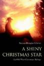Shiny Christmas Star - Preview