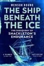 Ship Beneath The Ice - Preview