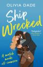 Ship Wrecked - Preview