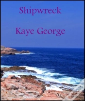 Capa do artigo Shipwreck