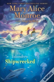 Capa do artigo Shipwrecked