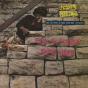Sho Is Funky Down Here - Vinil - Preview