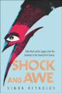 Shock And Awe - Preview