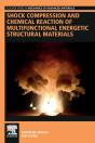 Shock Compression And Chemical Reaction Of Multifunctional Energetic Structural Materials - Preview