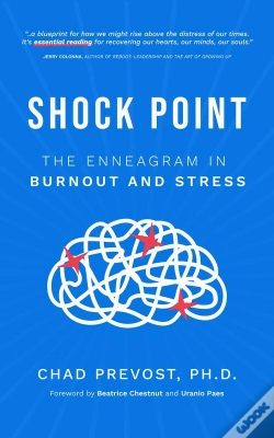 Capa do artigo Shock Point