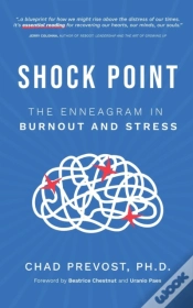 Capa do artigo Shock Point