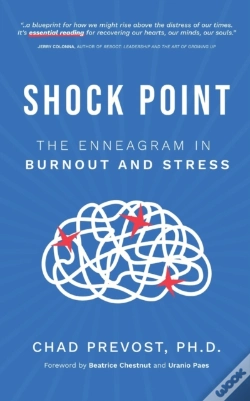 Capa do artigo Shock Point