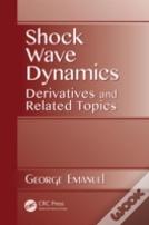 Shock Wave Dynamics