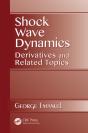 Shock Wave Dynamics - Preview