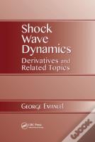 Shock Wave Dynamics
