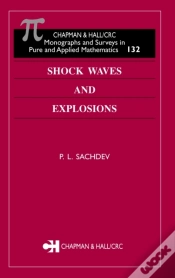 Capa do artigo Shock Waves & Explosions