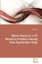 Shock Waves In A 2d Riemann Problem Havi - Preview