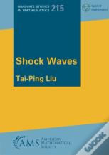 Shock Waves