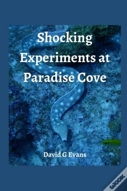 Capa do artigo Shocking Experience At Paradise Cove