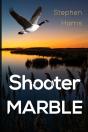 Shooter Marble - Preview