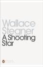 Shooting Star - Preview