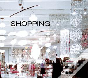 Shopping