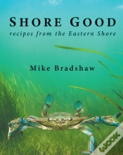 Capa do artigo Shore Good