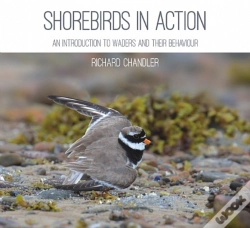 Capa do artigo Shorebirds In Action