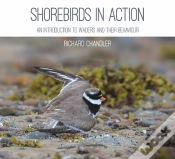 Capa do artigo Shorebirds In Action