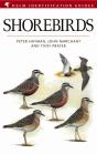 Shorebirds - Preview