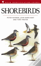 Shorebirds