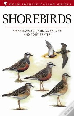 Capa do artigo Shorebirds