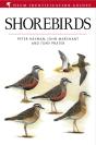 Shorebirds - Preview