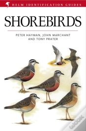 Capa do artigo Shorebirds