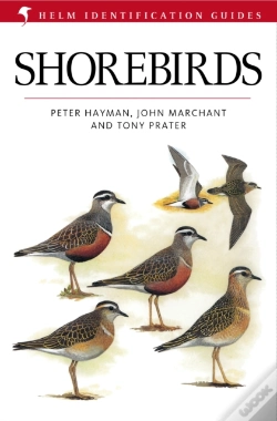 Capa do artigo Shorebirds