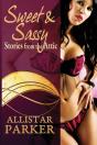Short And Sassy Stories From The Attic - Preview