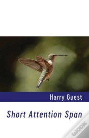 Capa do artigo Short Attention Span