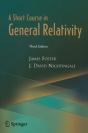 Short Course In General Relativity - Preview