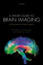 Short Guide To Brain Imaging - Preview