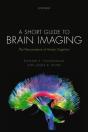 Short Guide To Brain Imaging - Preview