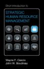 Short Introduction To Strategic Human Resource Management - Preview
