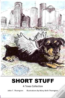 Capa do artigo Short Stuff