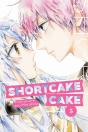 Shortcake Cake, Vol. 5 - Preview