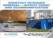 Shortcut Nitrogen Removal-Nitrite Shunt And Deammonification