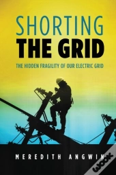 Shorting The Grid