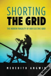 Capa do artigo Shorting The Grid