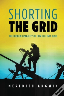 Capa do artigo Shorting The Grid