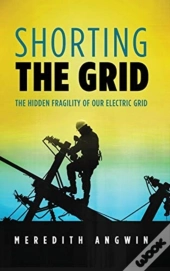 Shorting The Grid