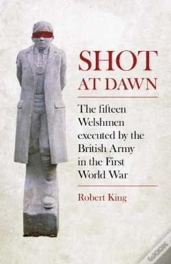Capa do artigo Shot At Dawn