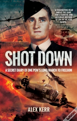 Capa do artigo Shot Down