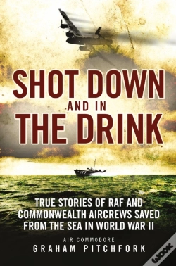 Capa do artigo Shot Down And In The Drink